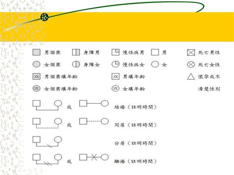 家人關係圖|家系圖模板